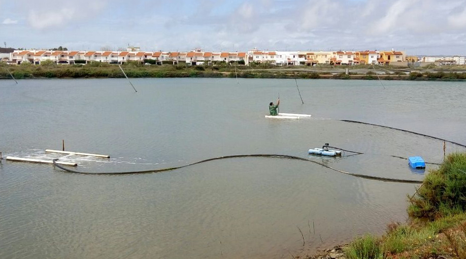 Aquasef Ctaqua TrabajosdeCampo 2